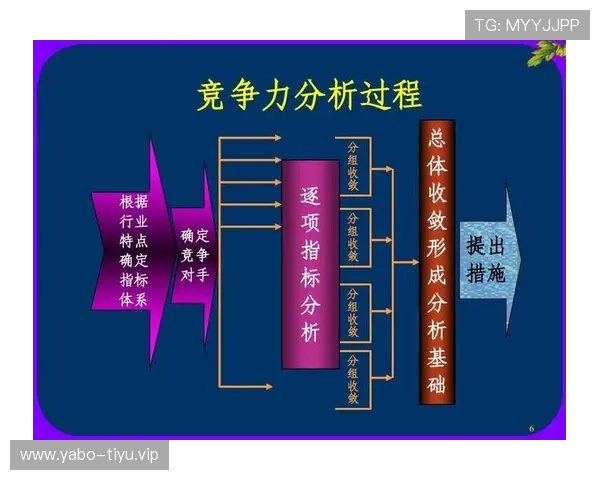 kb体育在行业中的竞争优势与发展前景分析,助你理性判断 kb体育在行业中的竞争优势与发展前景分析,助你理性判断